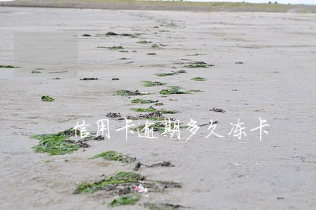 信用卡逾期多久冻卡 信用卡逾期多久冻卡