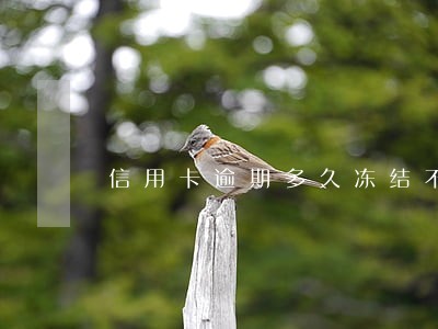 信用卡逾期多久冻结不能使用 信用卡逾期多久冻结不能使用