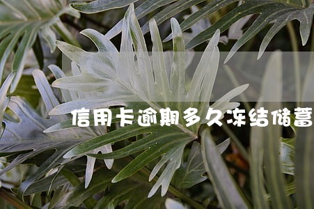 信用卡逾期多久冻结储蓄卡 信用卡逾期多久冻结储蓄卡