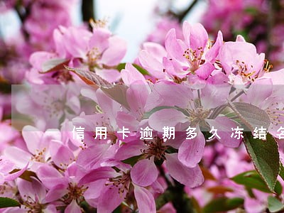 信用卡逾期多久冻结名下资产 信用卡逾期多久冻结名下资产