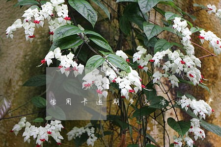 信用卡逾期多久冻结房产证 信用卡逾期多久冻结房产证
