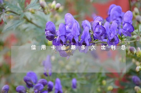 信用卡逾期多久出利息 信用卡逾期多久出利息