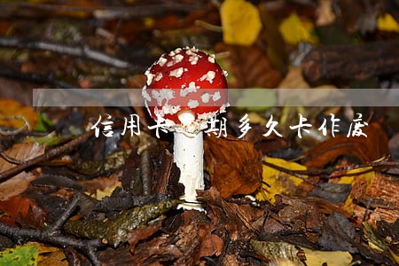 信用卡逾期多久卡作废