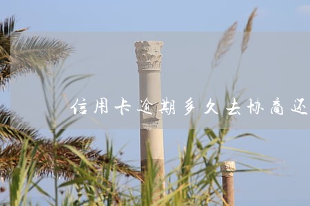 信用卡逾期多久去协商还款有利 信用卡逾期多久去协商还款有利