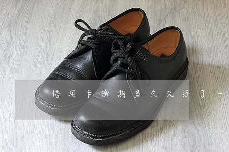 信用卡逾期多久又还了一次