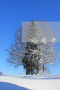 信用卡逾期多久受法律责任