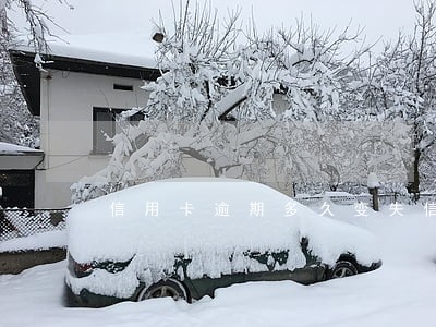 信用卡逾期多久变失信
