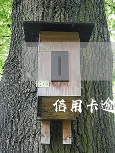 信用卡逾期多久可以