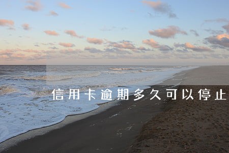 信用卡逾期多久可以停止计息