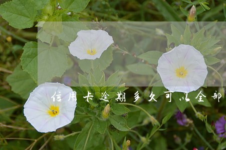 信用卡逾期多久可以全部消除 信用卡逾期多久可以全部消除