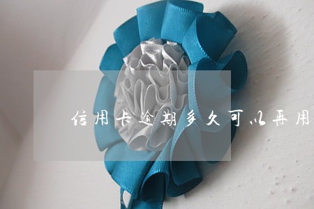 信用卡逾期多久可以再用
