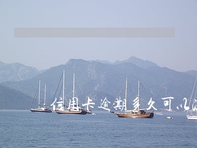 信用卡逾期多久可以冻结账户 信用卡逾期多久可以冻结账户