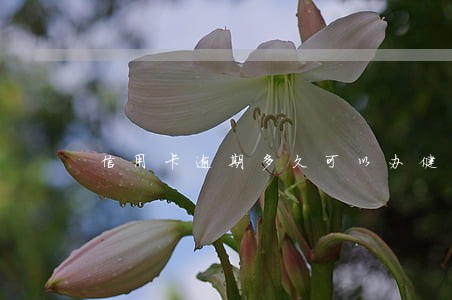 信用卡逾期多久可以办健康证书 信用卡逾期多久可以办健康证书