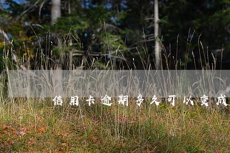 信用卡逾期多久可以变成呆账