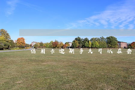 信用卡逾期多久可以在套