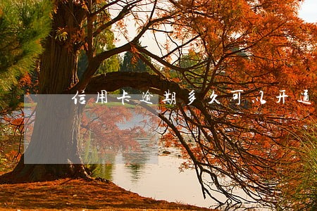 信用卡逾期多久可以开通微粒贷 信用卡逾期多久可以开通微粒贷