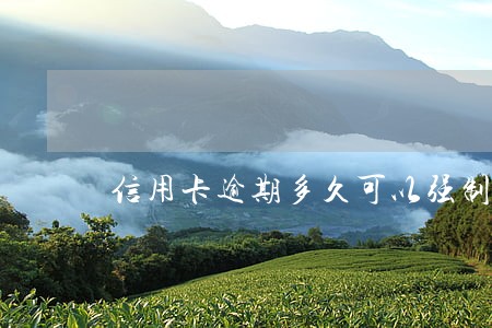 信用卡逾期多久可以强制挂账 信用卡逾期多久可以强制挂账