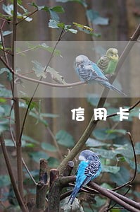 信用卡逾期多久可以恢复好