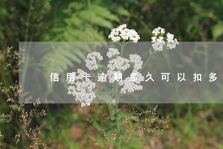 信用卡逾期多久可以扣多少钱 信用卡逾期多久可以扣多少钱