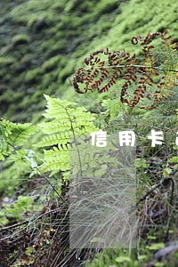 信用卡逾期多久可以注销记录