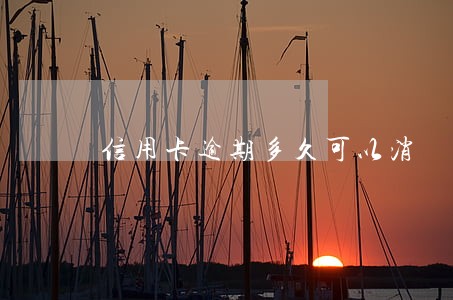 信用卡逾期多久可以消 信用卡逾期多久可以消