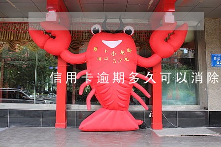 信用卡逾期多久可以消除黑点 信用卡逾期多久可以消除黑点