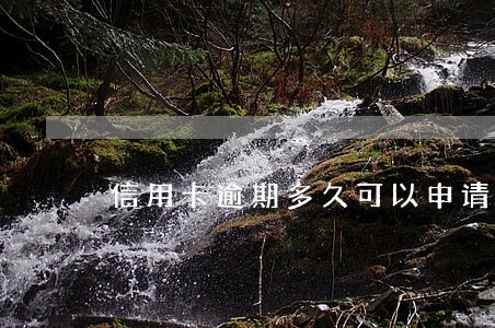 信用卡逾期多久可以申请消费 信用卡逾期多久可以申请消费