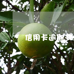 信用卡逾期多久可以申请车牌吗