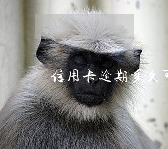 信用卡逾期多久可以立案标准