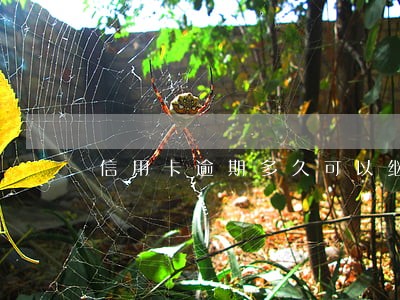 信用卡逾期多久可以继续办卡