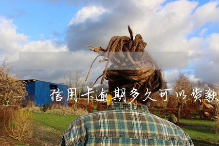 信用卡逾期多久可以货款 信用卡逾期多久可以货款