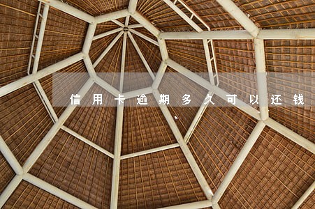 信用卡逾期多久可以还钱 信用卡逾期多久可以还钱