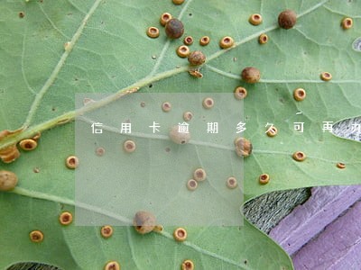 信用卡逾期多久可再办卡 信用卡逾期多久可再办卡