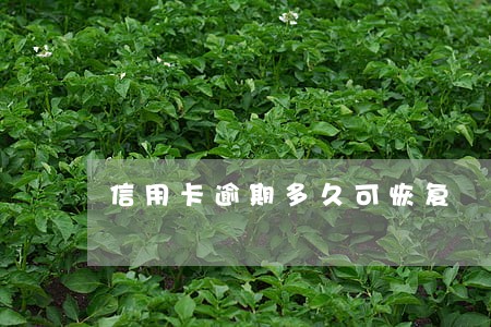 信用卡逾期多久可恢复 信用卡逾期多久可恢复