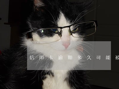信用卡逾期多久可能被起诉 信用卡逾期多久可能被起诉
