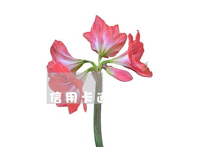 信用卡逾期多久可起诉 信用卡逾期多久可起诉