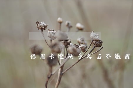 信用卡逾期多久后不能用 信用卡逾期多久后不能用