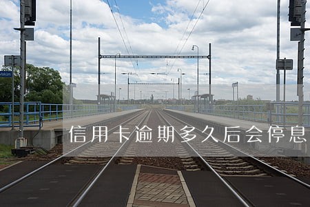 信用卡逾期多久后会停息