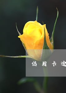 信用卡逾期多久后会停息挂账 信用卡逾期多久后会停息挂账
