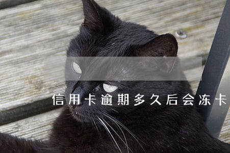 信用卡逾期多久后会冻卡 信用卡逾期多久后会冻卡