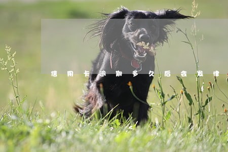 信用卡逾期多久后会发律师函 信用卡逾期多久后会发律师函