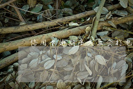 信用卡逾期多久后会打电话 信用卡逾期多久后会打电话