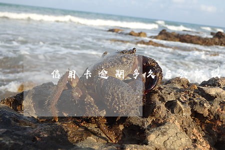 信用卡逾期多久后会被报案 信用卡逾期多久后会被报案