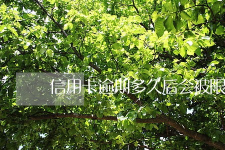 信用卡逾期多久后会被限行 信用卡逾期多久后会被限行