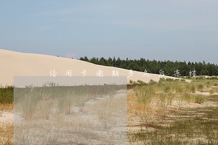 信用卡逾期多久后冻结 信用卡逾期多久后冻结
