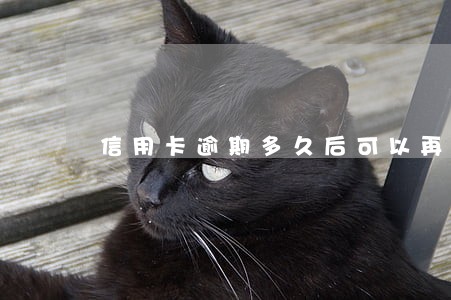 信用卡逾期多久后可以再还 信用卡逾期多久后可以再还