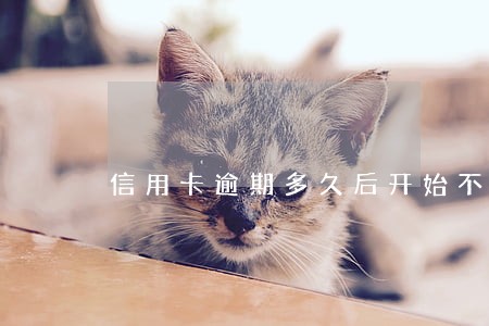 信用卡逾期多久后开始不算利息 信用卡逾期多久后开始不算利息