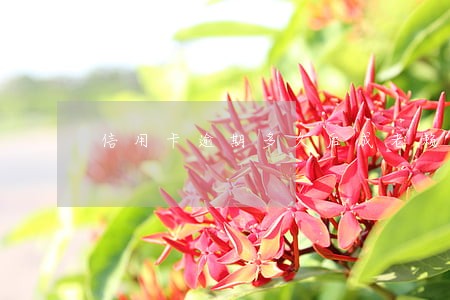 信用卡逾期多久后成老赖 信用卡逾期多久后成老赖