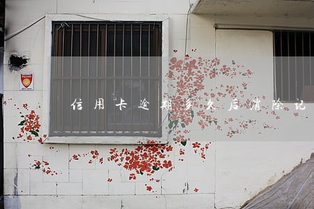 信用卡逾期多久后消除记录 信用卡逾期多久后消除记录