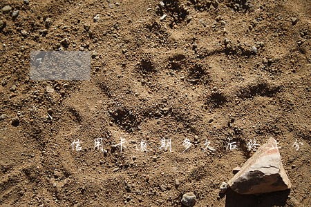 信用卡逾期多久后终止分期 信用卡逾期多久后终止分期